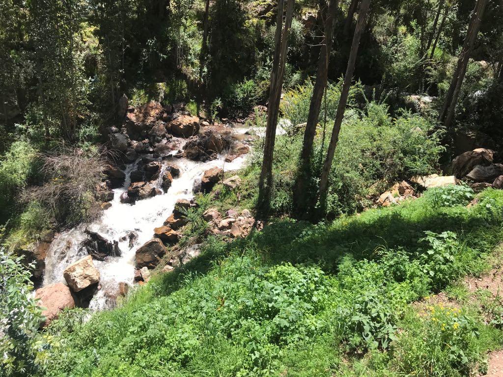 Bamboo Lodge Sacred Valley Pisac Εξωτερικό φωτογραφία